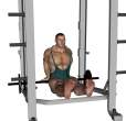 Dip - Smith Machine Straight Leg
